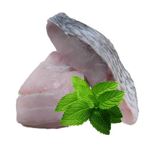 Barracudas Slice