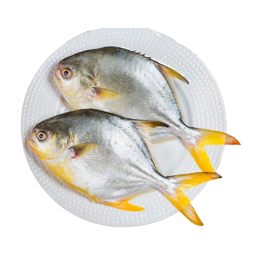 Golden Pomfret