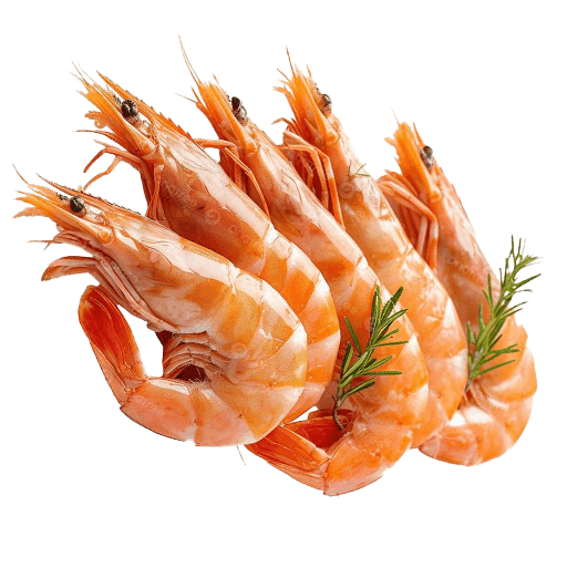 Prawns (1)