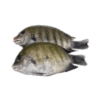 karimeen (1)