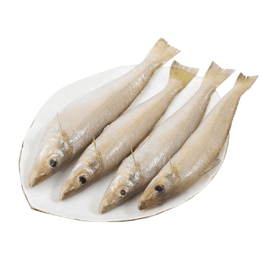 lady fish (1)