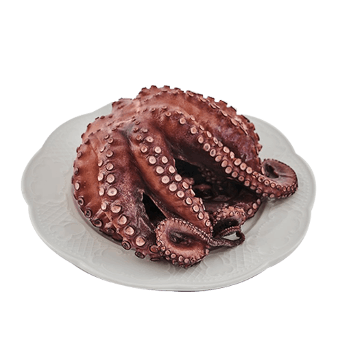 octopus (1)